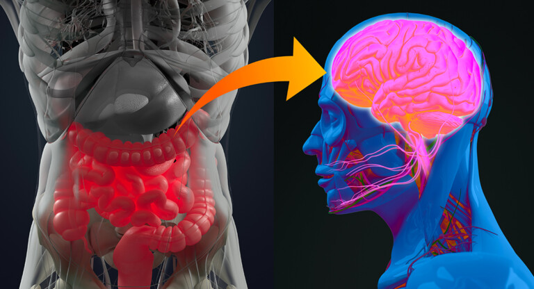 Microbiota